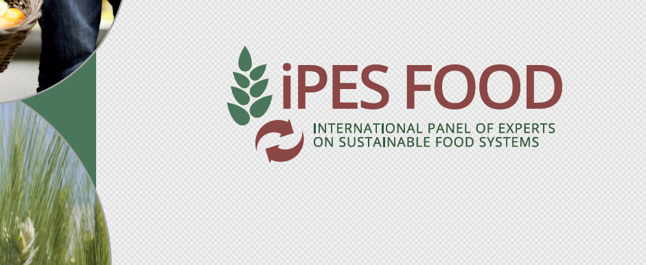 IPES-Food Report