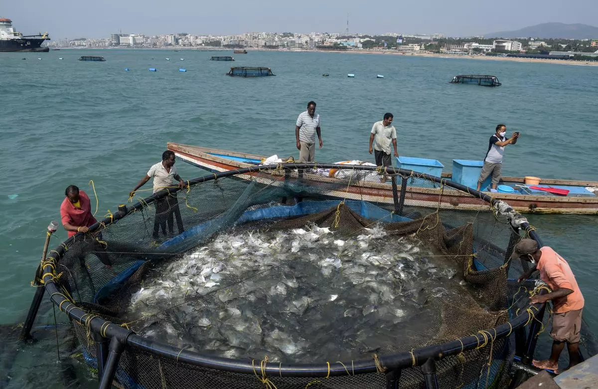 Carbon Footprint of India’s Marine Fisheries