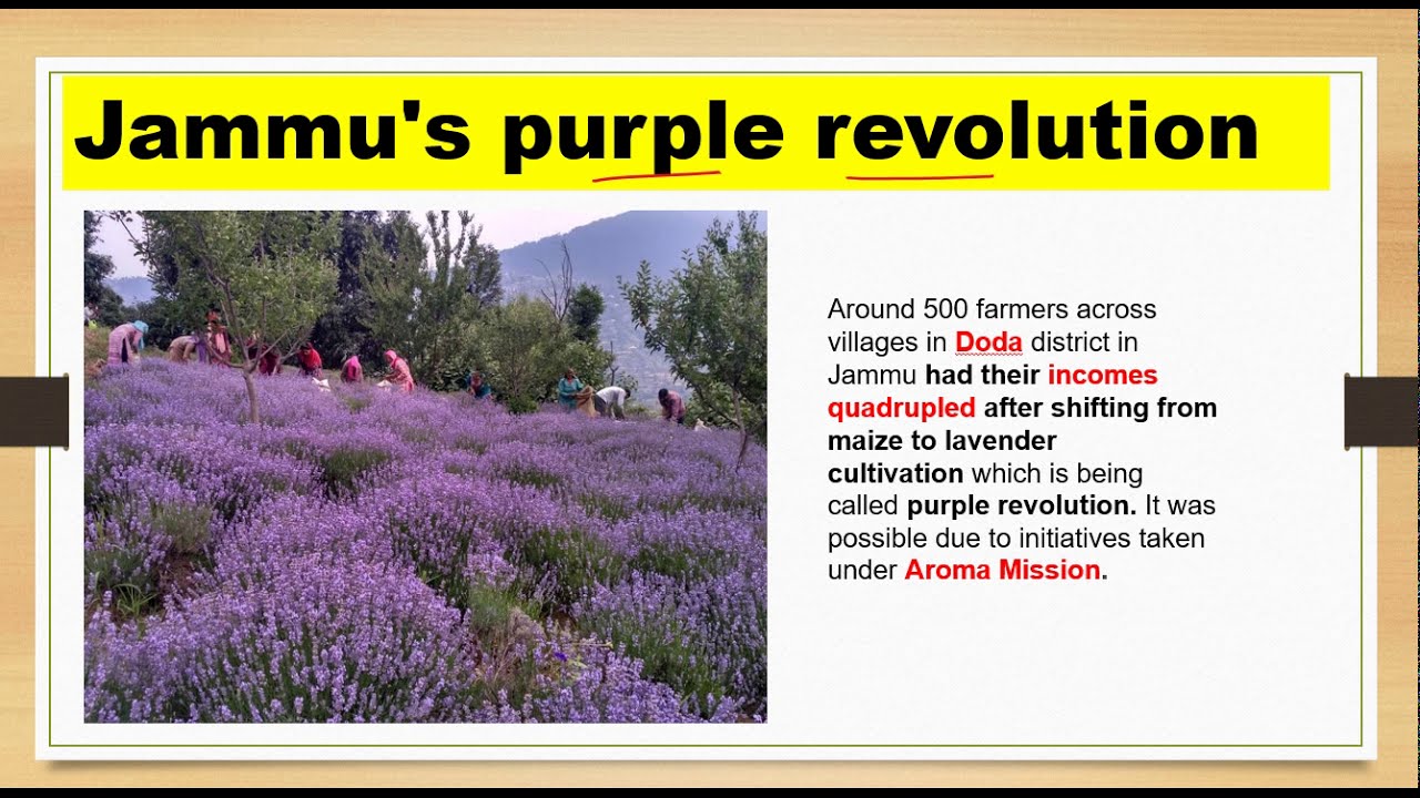 Purple Revolution