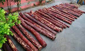 CITES Database On Red Sanders Smuggling